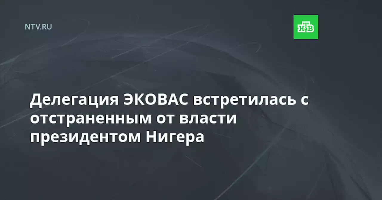 Делегация ЭКОВАС встретилась с отстраненным от власти президентом Нигера