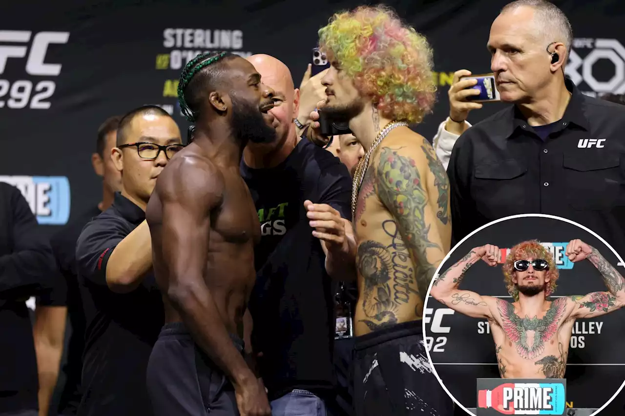 UFC 292 predictions, picks: Aljamain Sterling will stop the ‘Sugar Show’