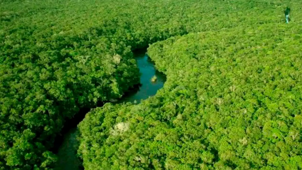 MPF pede que Ibama negue à Petrobras licença no Amazonas