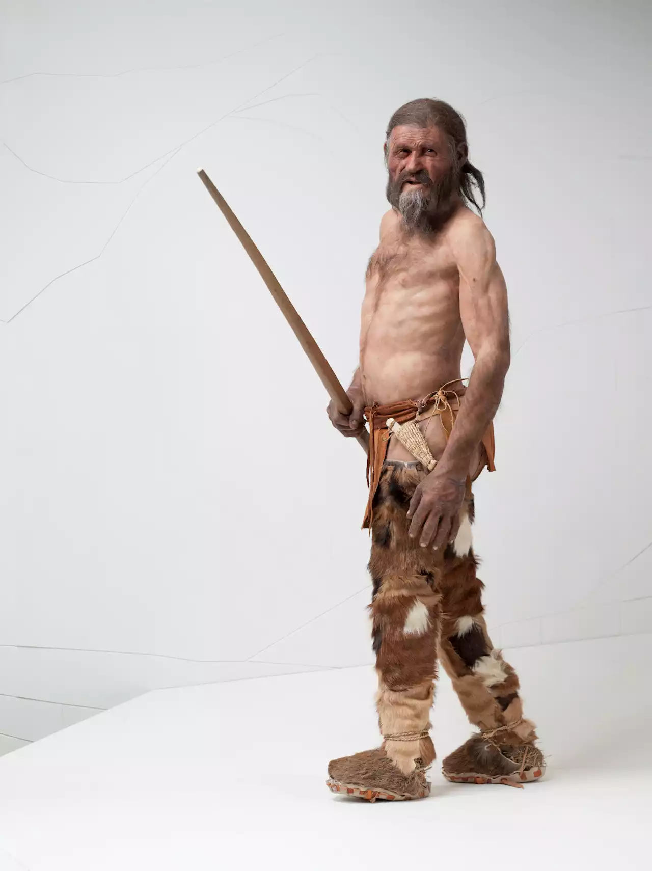 Fresh look at DNA from Oetzi the Iceman traces his roots to present day Turkey