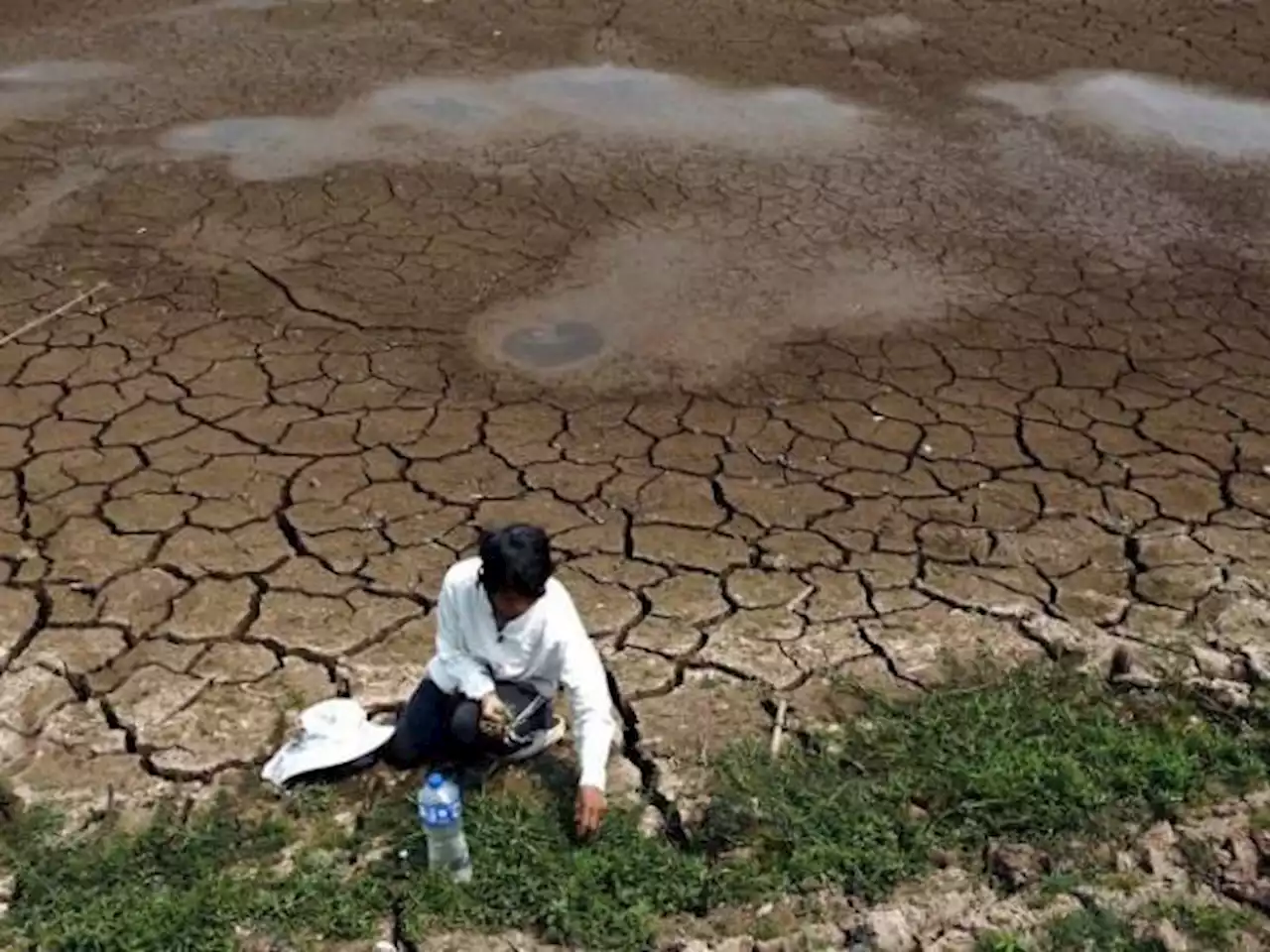 Cambio climático, oportunidad de negocio en sistema financiero