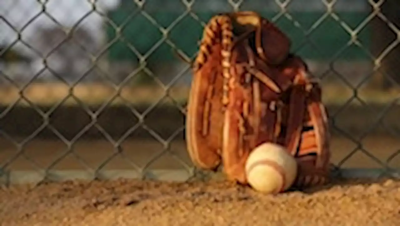 Cheating allegations in D.C. Little League put high-powered parents at war