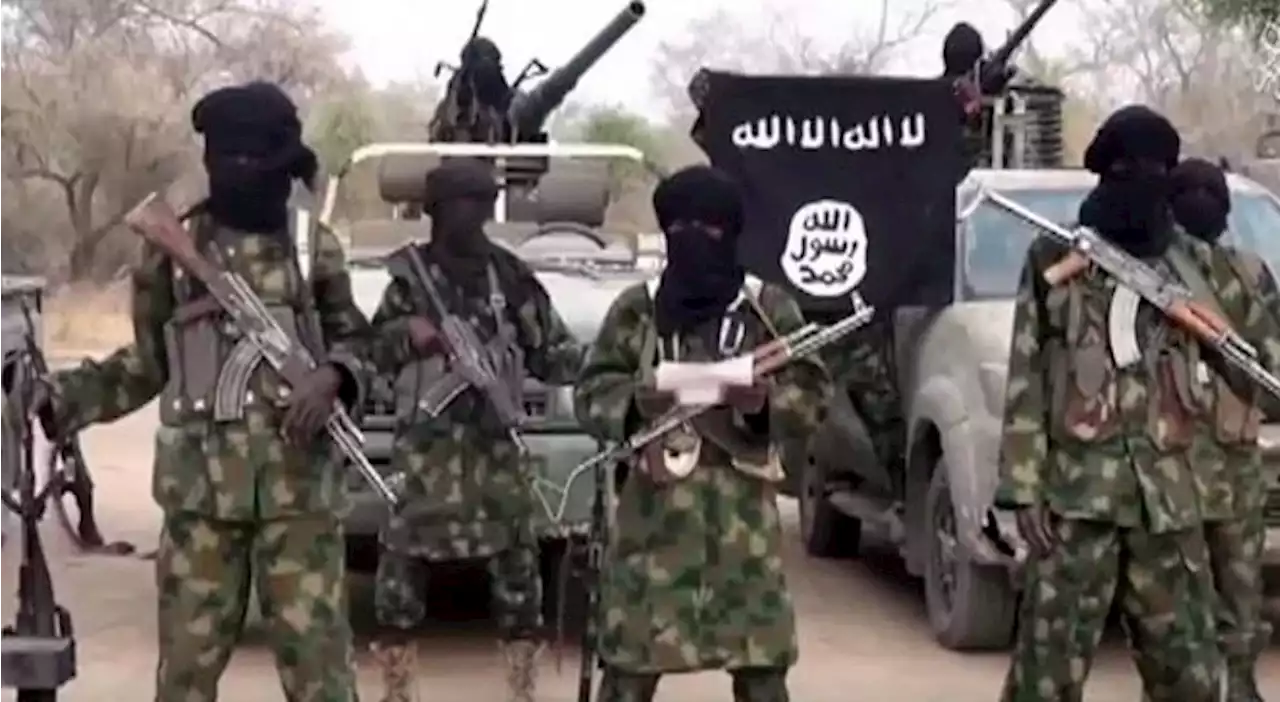 Ex-Boko Haram members storm Maiduguri, protest hunger, poor welfare