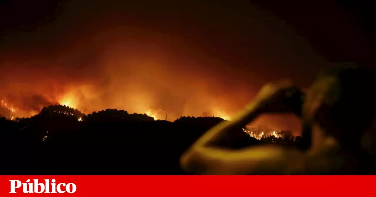 Incêndio “faminto” em Tenerife já consumiu 5000 hectares de pinhal e continua “descontrolado”