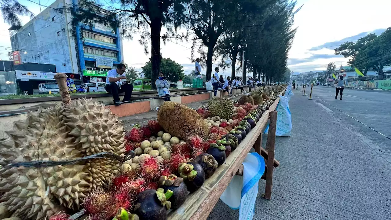 Kidapawan gives away tons of fruits during Timpupo festival