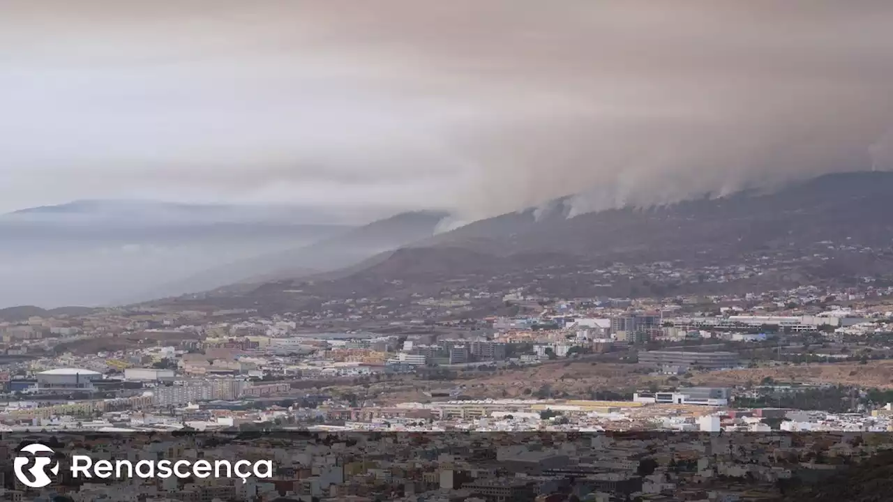 Autoridades investigam causas de incêndio florestal na ilha espanhola de Tenerife