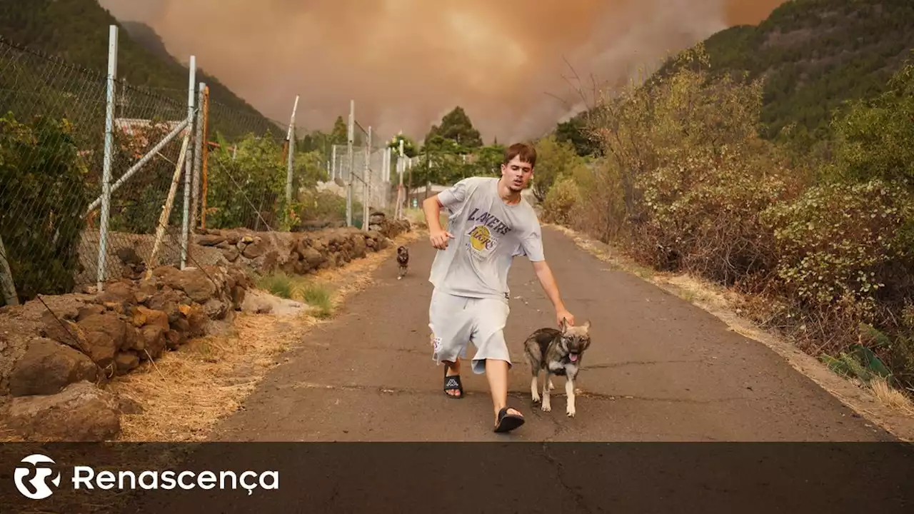 Incêndio em Tenerife obrigou à retirada de mais de 26 mil pessoas