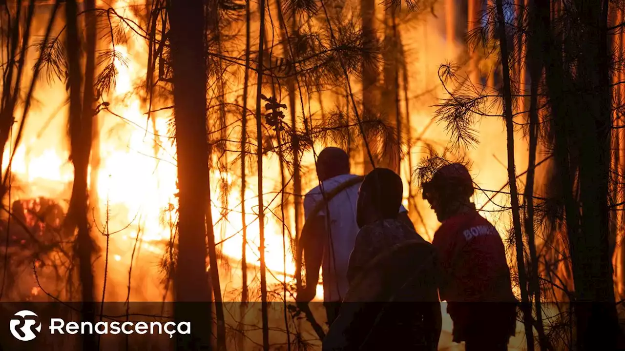 Incêndios: Governo apela para que não se façam queimadas