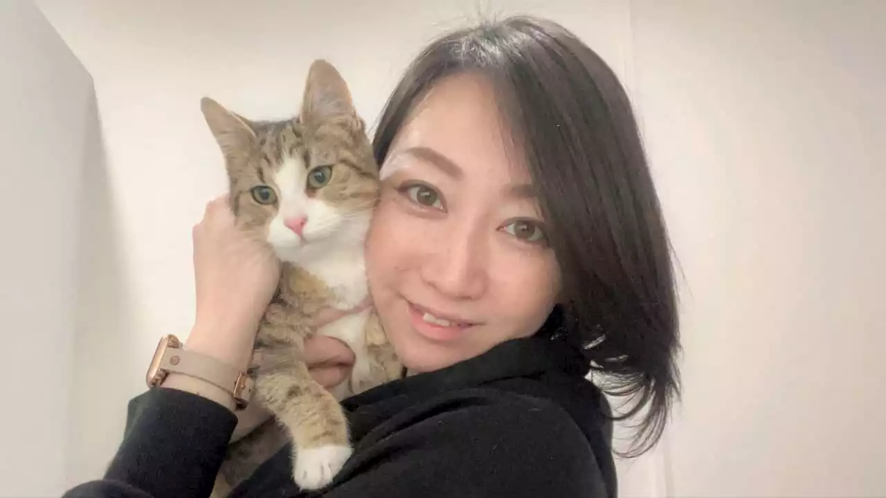 Why Yuki spent $50,000 of her savings on rescuing abandoned cats