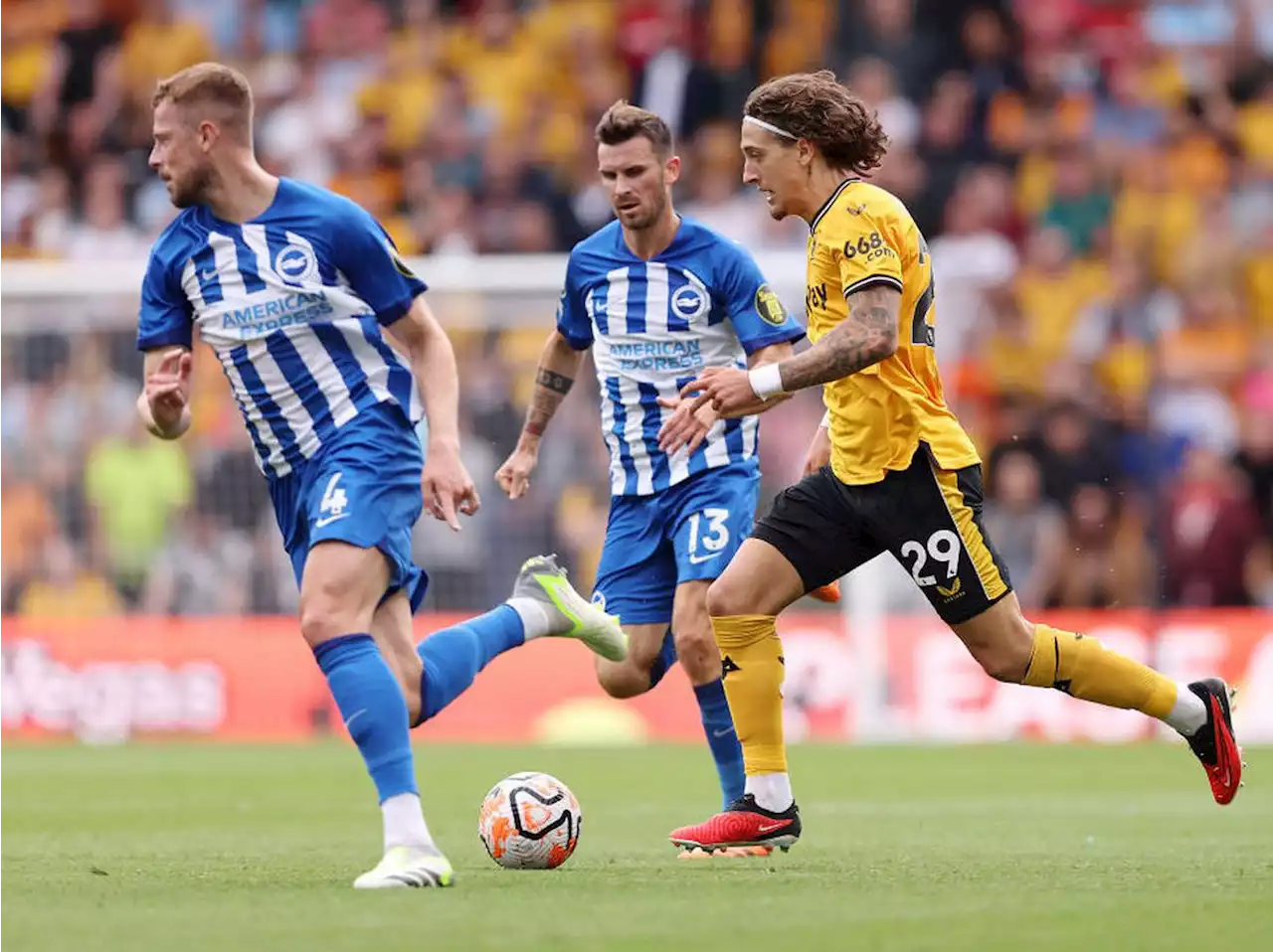 Wolves 1 Brighton 4 - Report