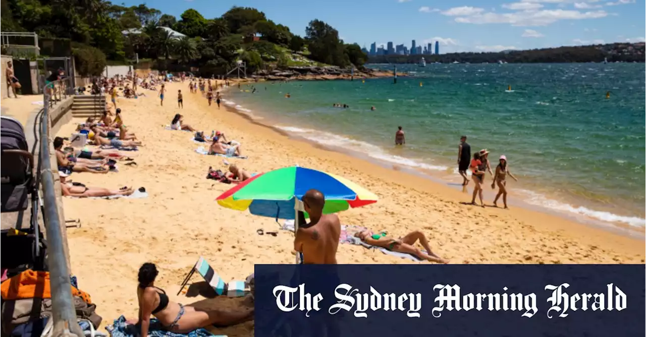 Elite suburb to lose reserved parking to allow visitors access to beach