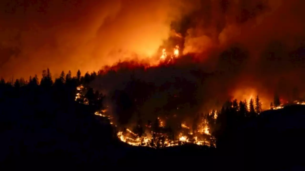 Notstand in kanadischer Provinz British Columbia wegen Waldbränden ausgerufen