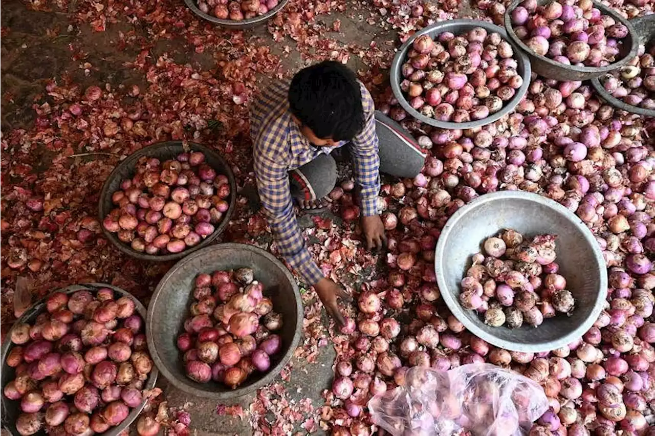 India imposes 40% export duty on onions with immediate effect