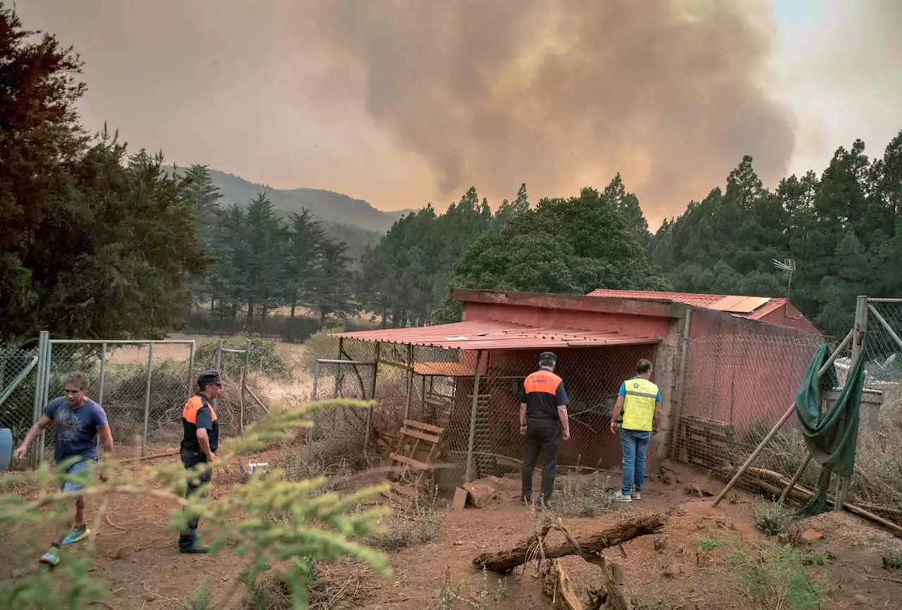 Incendie aux Canaries : nouvelle journée difficile attendue, avec de la chaleur et du vent