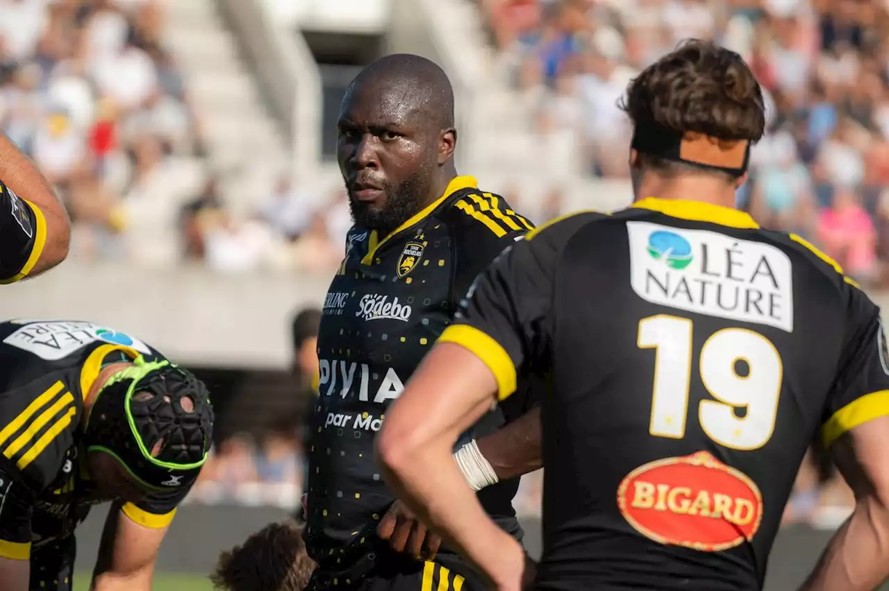 Stade Rochelais : qui sont les recrues des Jaune et Noir pour cette nouvelle saison ?