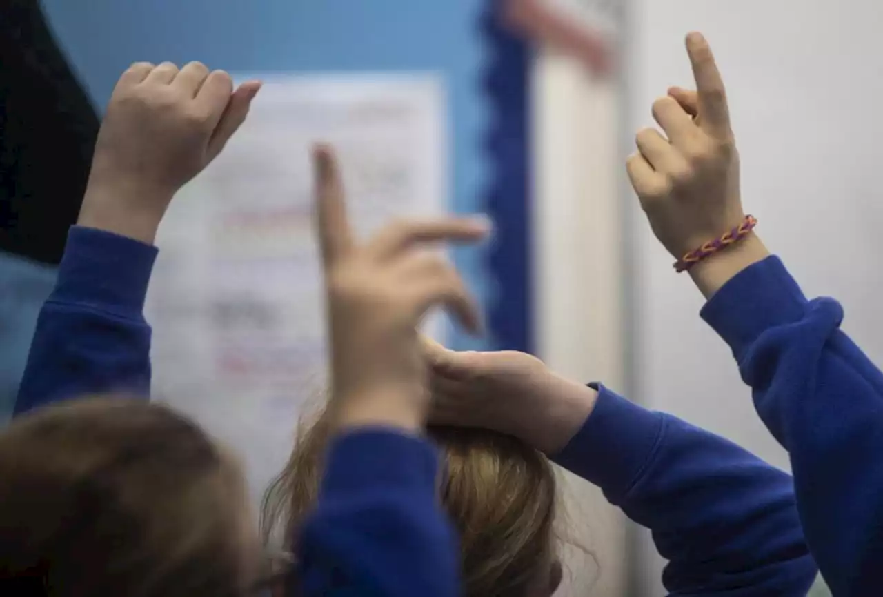 Scotland's teachers and pupils are crying out for education reform