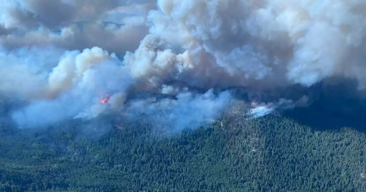 Katastrophen: Waldbrände in Kanada: British Columbia erklärt den Notstand