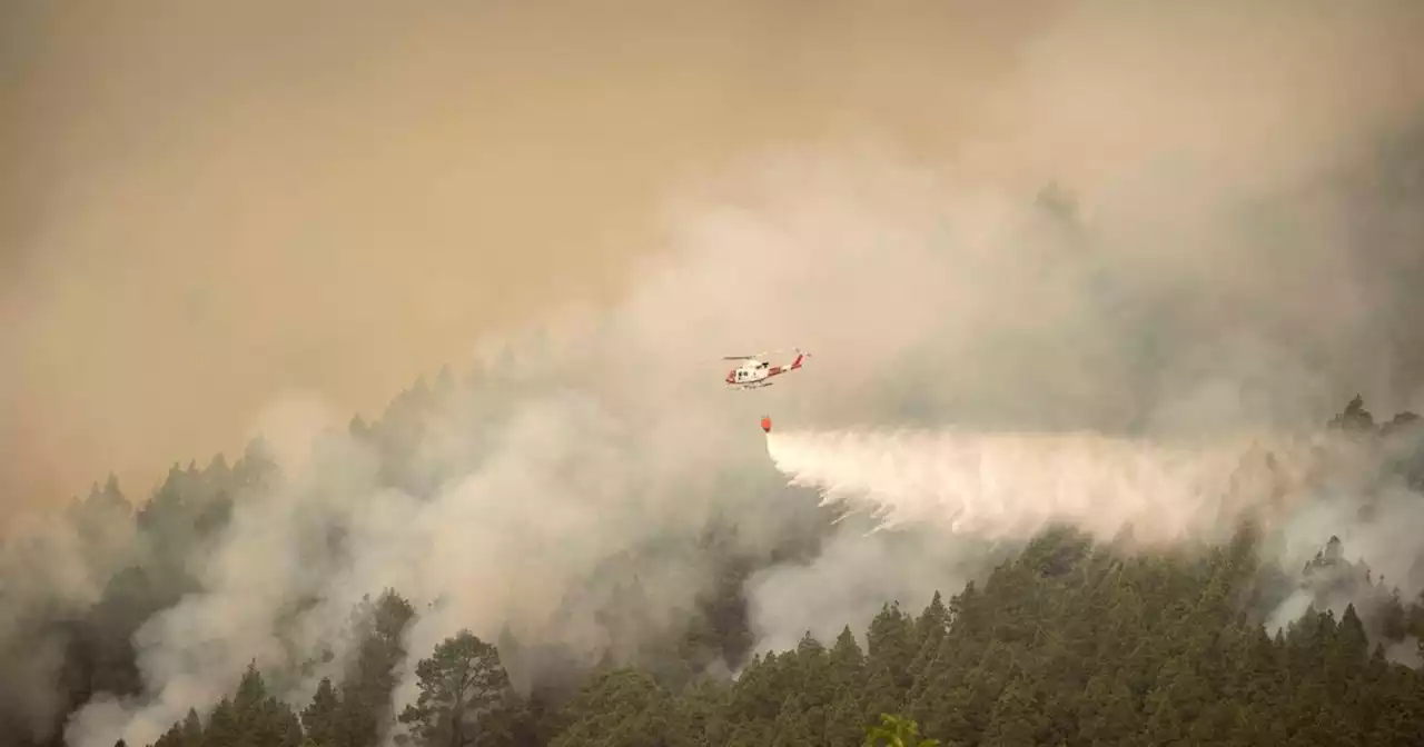 Notfälle: Waldbrand auf Teneriffa erfasste bereits 5000 Hektar Natur