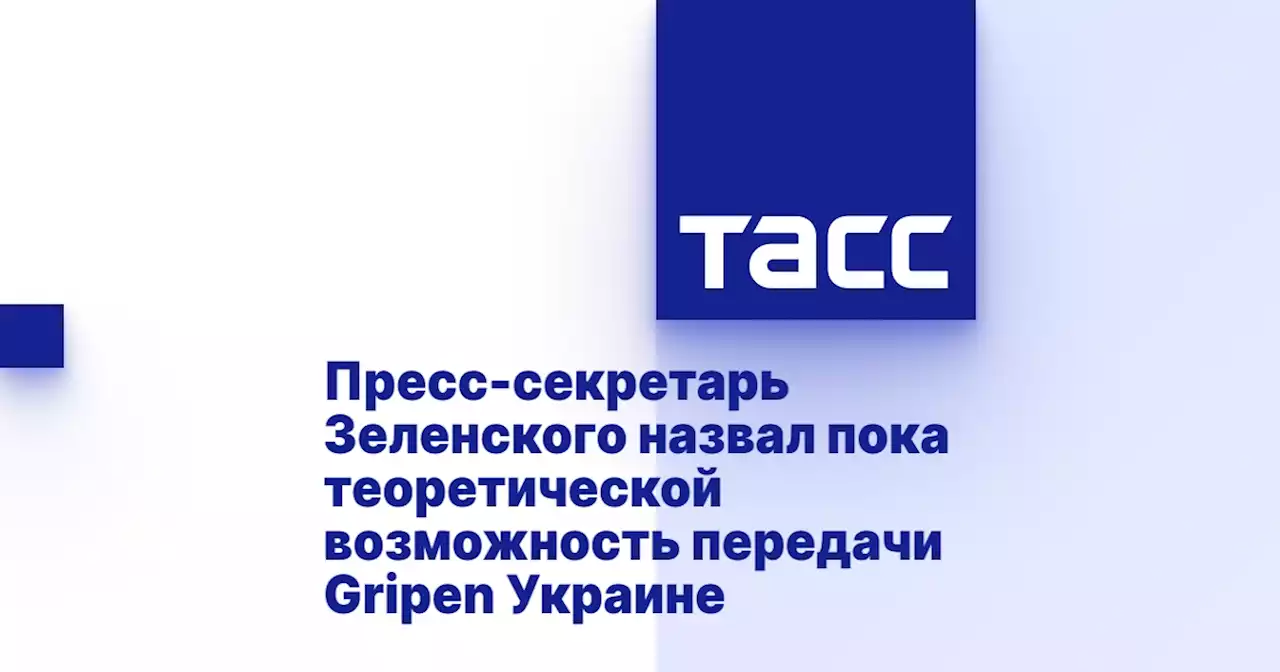 Пресс-секретарь Зеленского назвал пока теоретической возможность передачи Gripen Украине