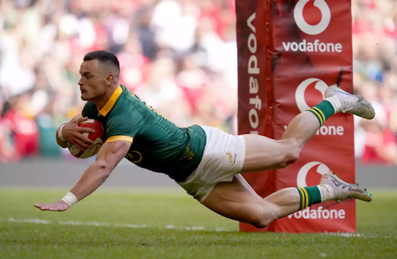 South Africa send message to World Cup rivals after demolishing Wales