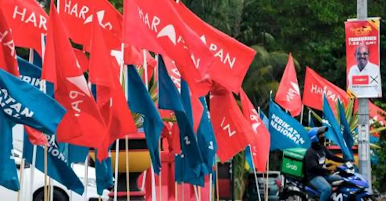 Heavyweight or progressive new candidate, who will win Pulai voters’ hearts?