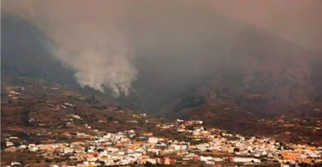 Spain firefighters make gains in battle against Tenerife blaze