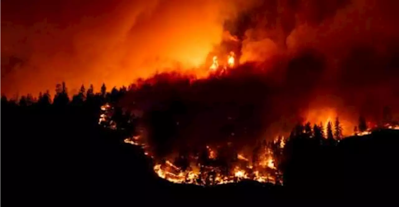 State of emergency in Canada’s British Columbia due to forest fires