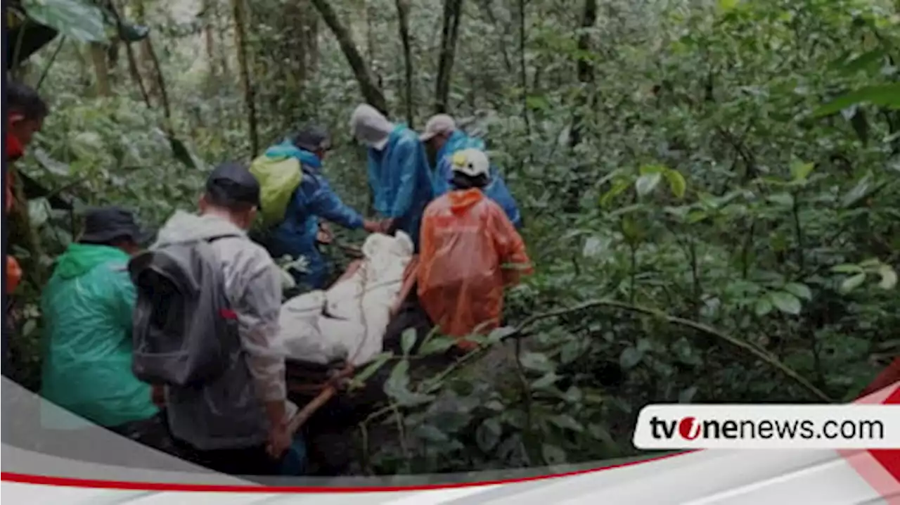 Pendaki Gunung Kerinci yang Jatuh di Shelter 3 Berhasil Dievakuasi Tim SAR Gabungan