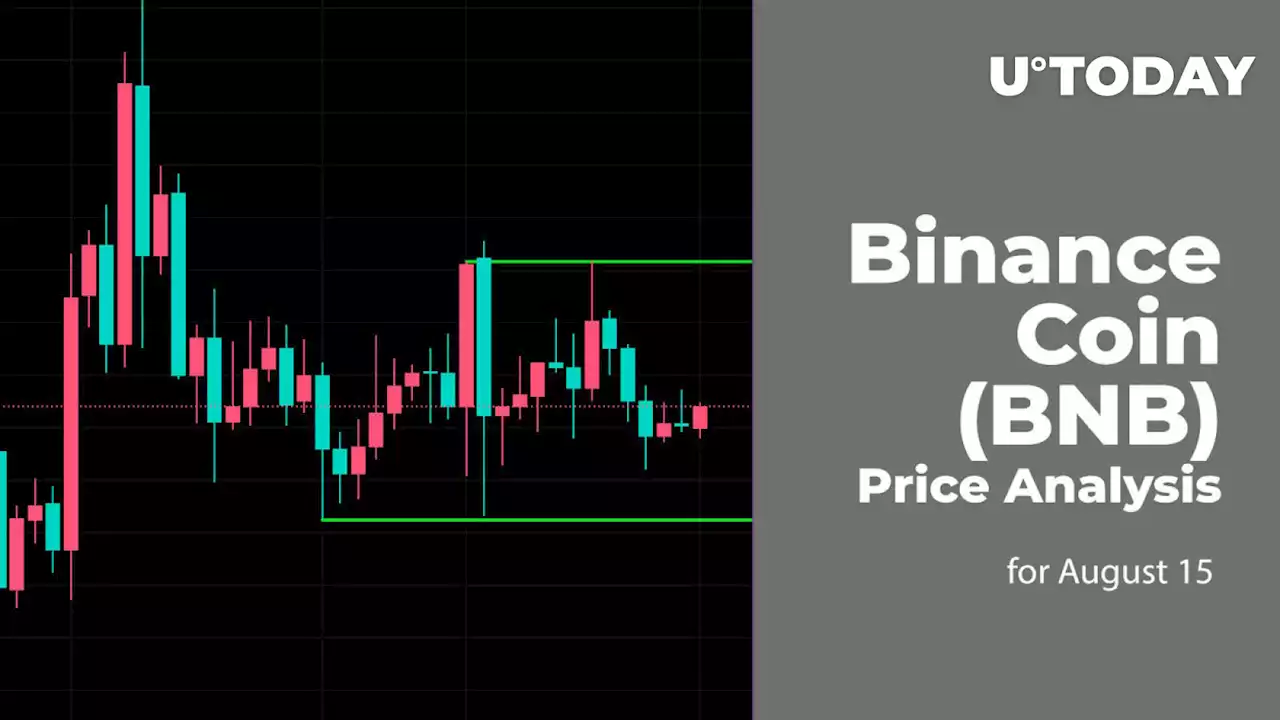 Binance Coin (BNB) Price Analysis for August 15