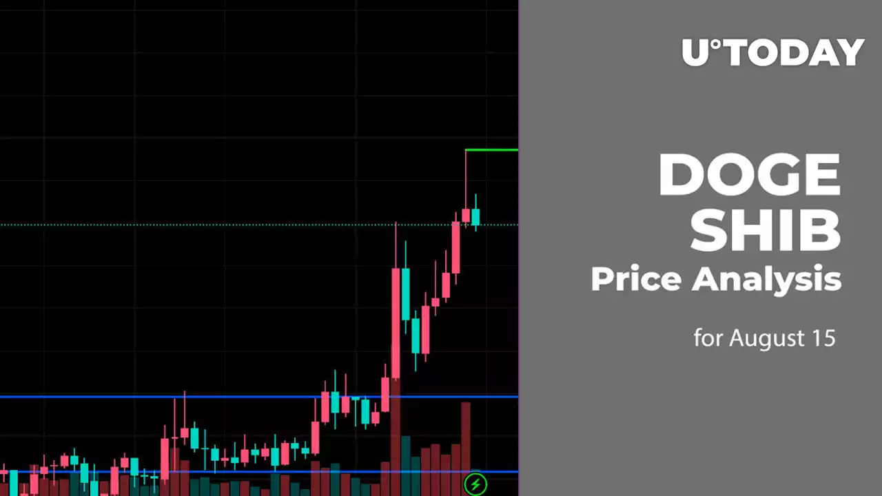 DOGE and SHIB Price Analysis for August 15