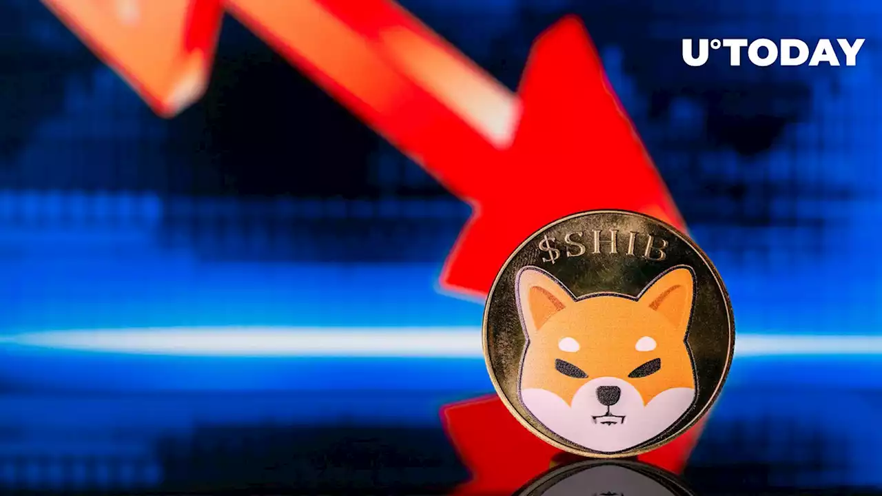 Shiba Inu (SHIB) Momentarily Lost All of August's Gains