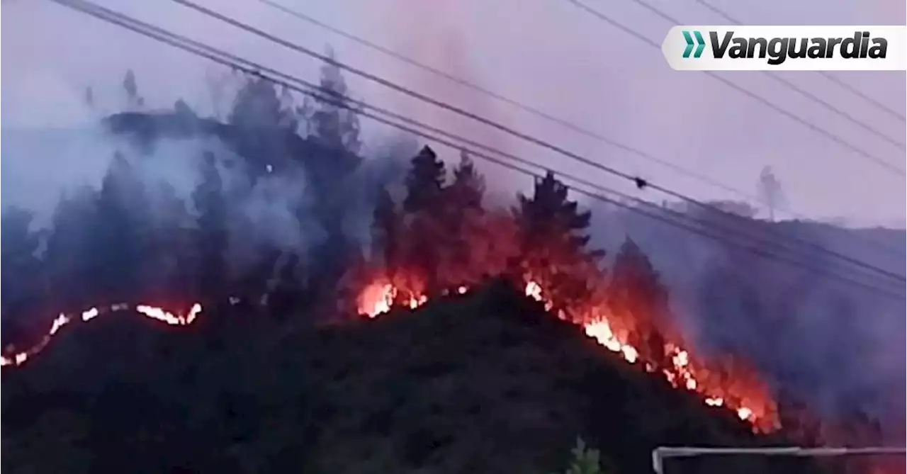 En video: Voraz incendio consume varias hectáreas de bosque en el sector de Los Curos, Piedecuesta