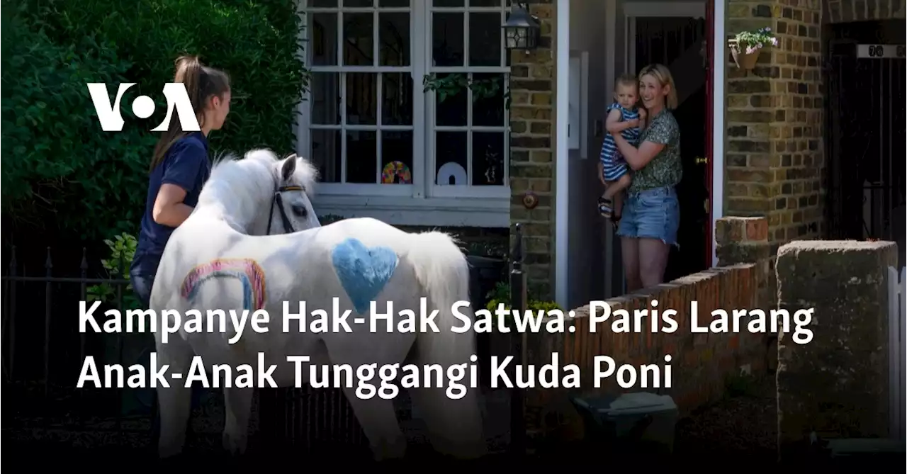 Kampanye Hak-Hak Satwa: Paris Larang Anak-Anak Tunggangi Kuda Poni