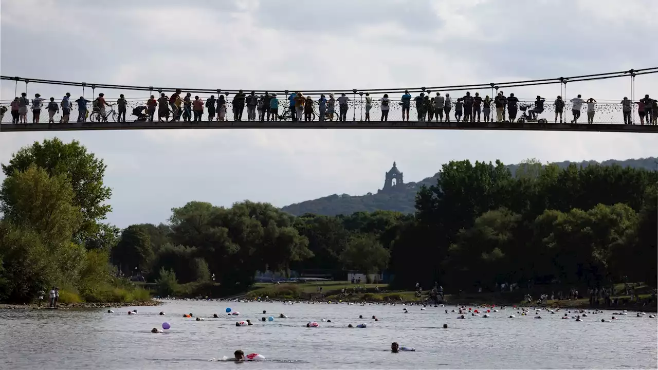 Weserschwimmen in Minden startet