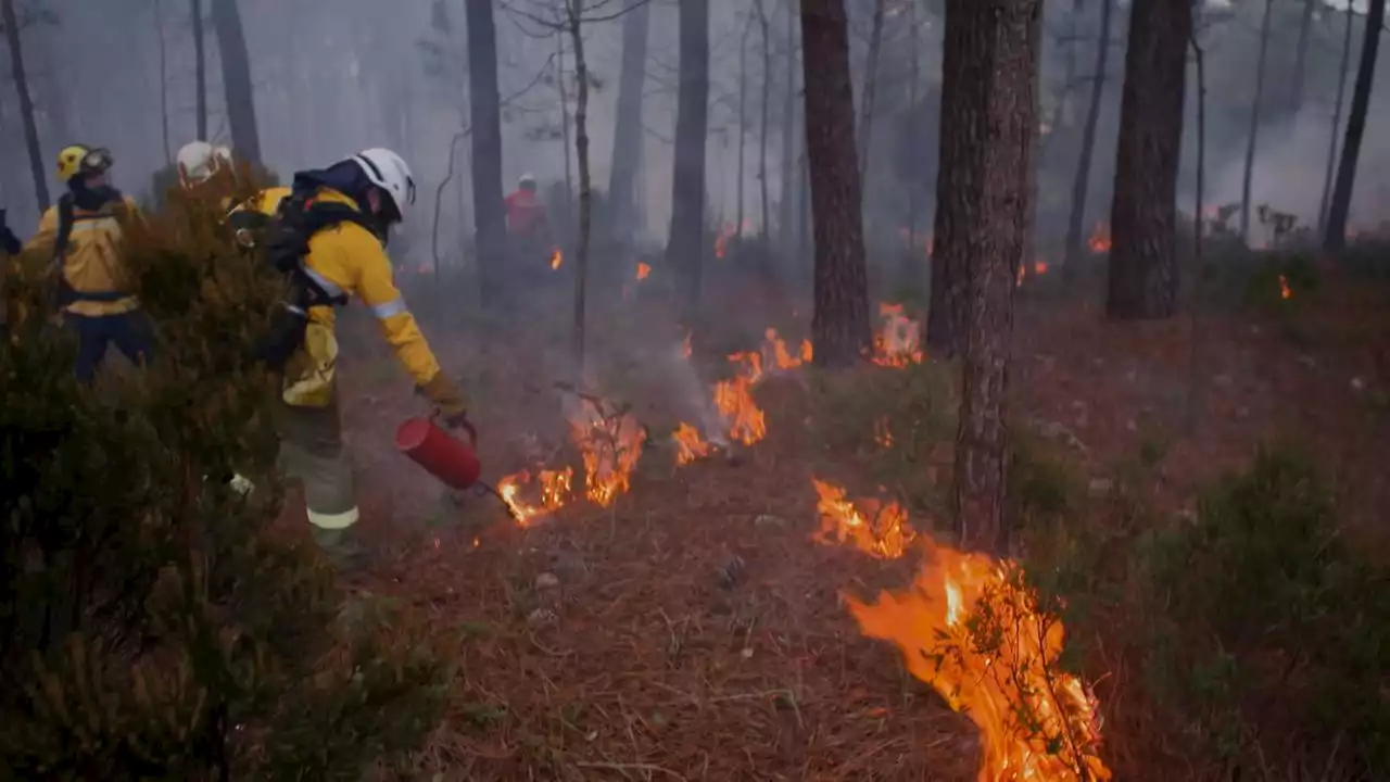 Brände in Südeuropa: Waldbrände mit Feuer bekämpfen