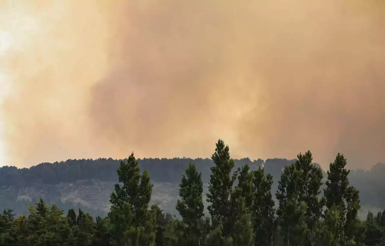 Trois départements du sud-est placés en alerte feux de forêts