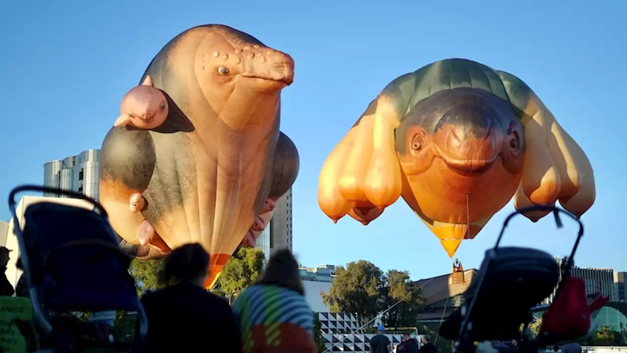 Adelaide Festival gets funding boost as Harvest Rock announces headline acts