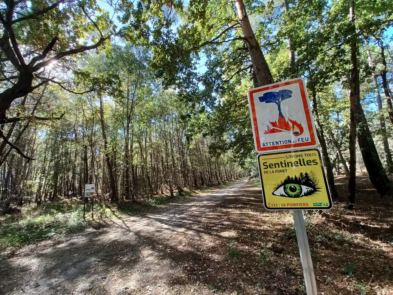 Météo des forêts : un département placé en alerte rouge, trois en orange