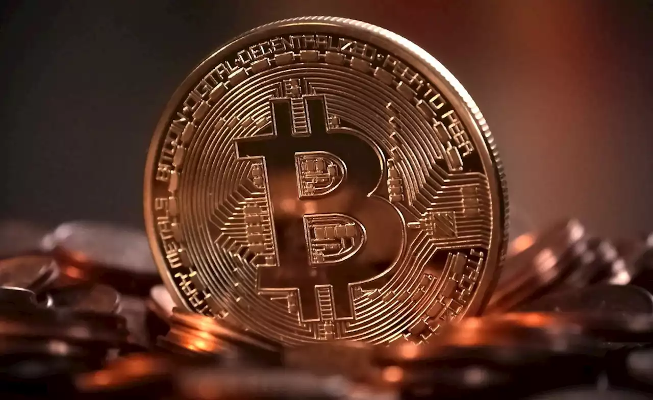 Kenya: Govt Suspends World Coin Activities in Kenya