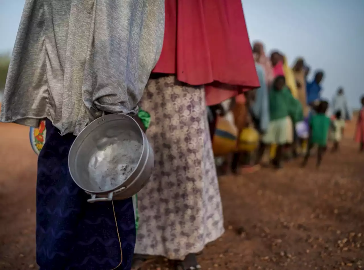 جريدة الرياض | أكثر من 20 مليون سوداني على حافة المجاعة بسبب الحرب