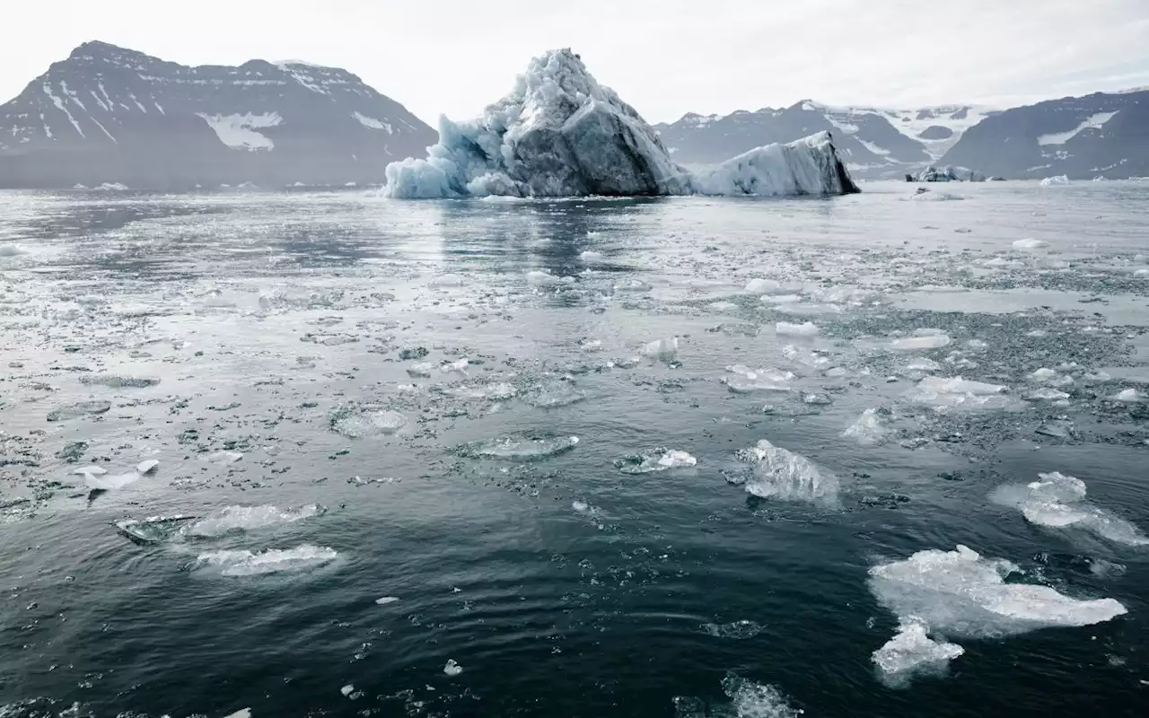 El hielo antártico perdió 2.6 millones de km cuadrados entre 1981 y 2010