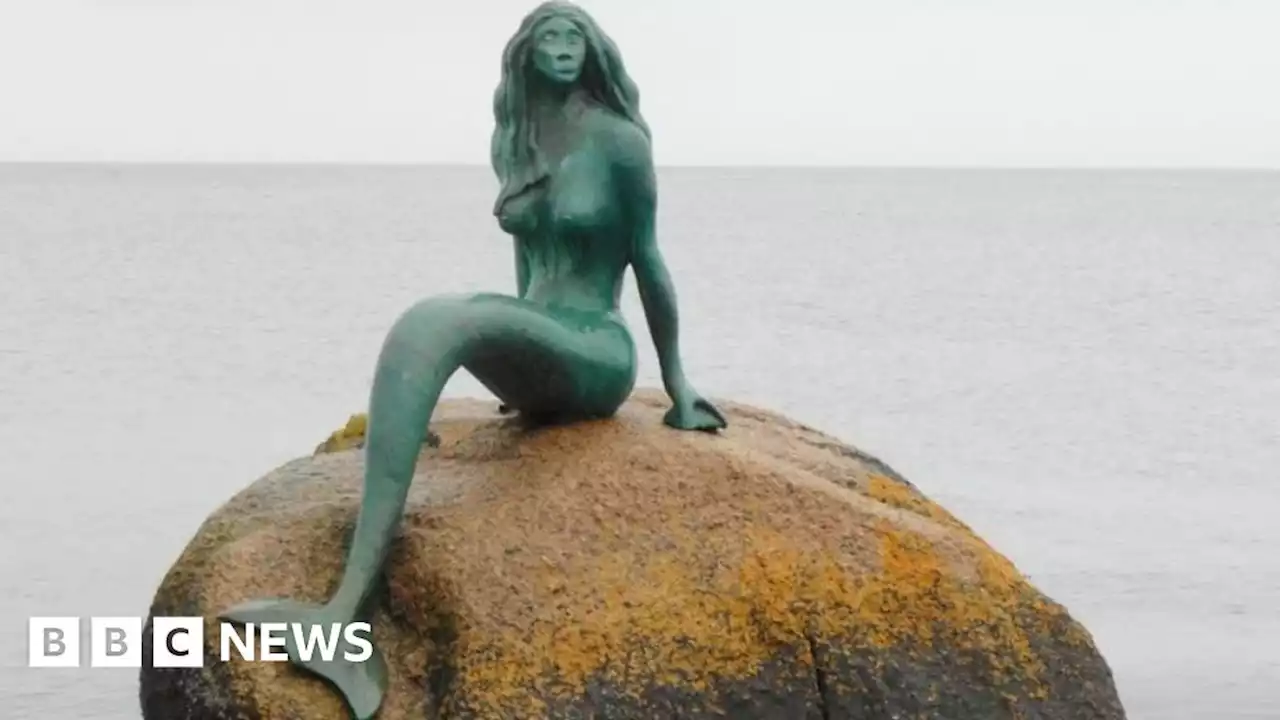 Mermaid of the North could be joined by merman