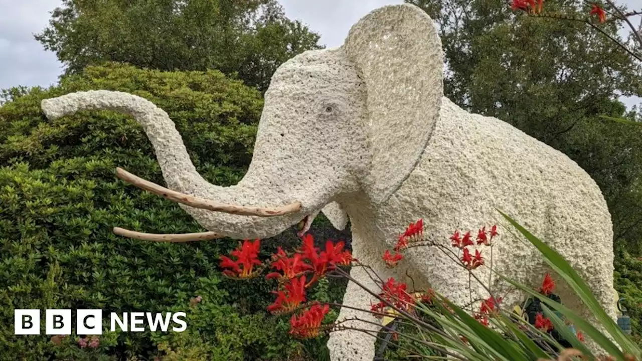 Full-size elephant sculpture being transported from Derry to Donegal