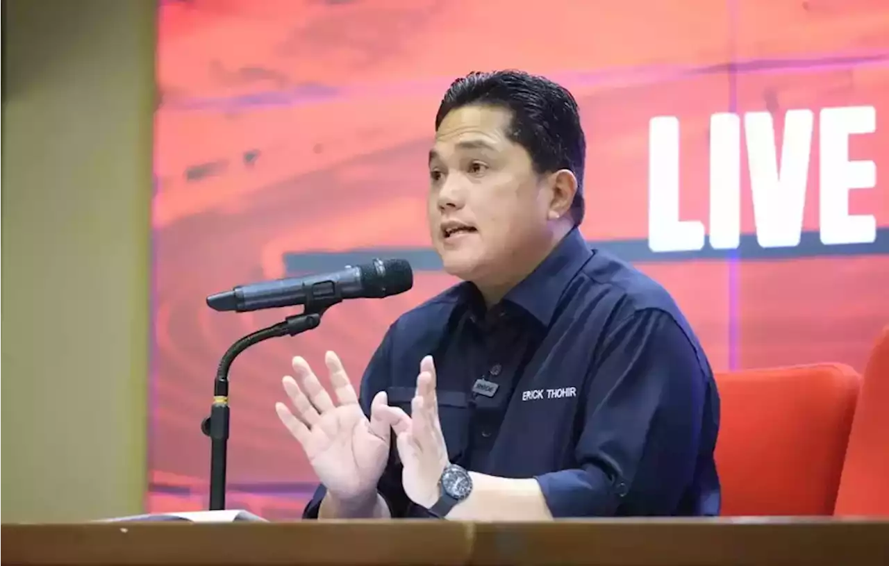 Piala Dunia U-17, Erick Thohir: Rumput Stadion Jadi Sorotan FIFA