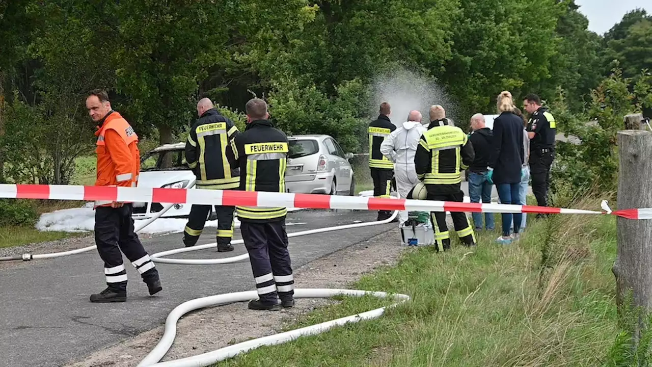 Tötungsdelikt: Zwei Leichen auf Straße gefunden, eine mit Schusswunde