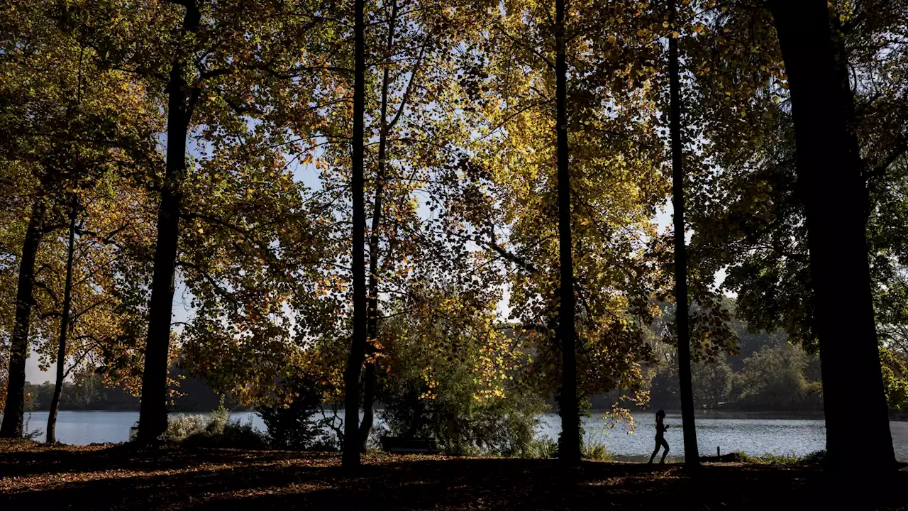 Rhône: des rafales de vent à plus de 70km/h attendues, les grands parcs lyonnais fermés