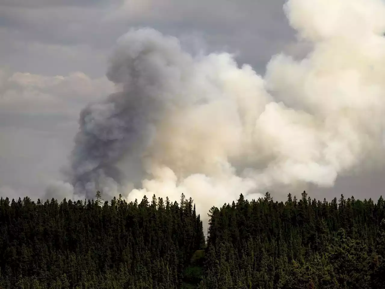 Firefighter killed in B.C. identified as Zak Muise, 25, called 'vital' member of team