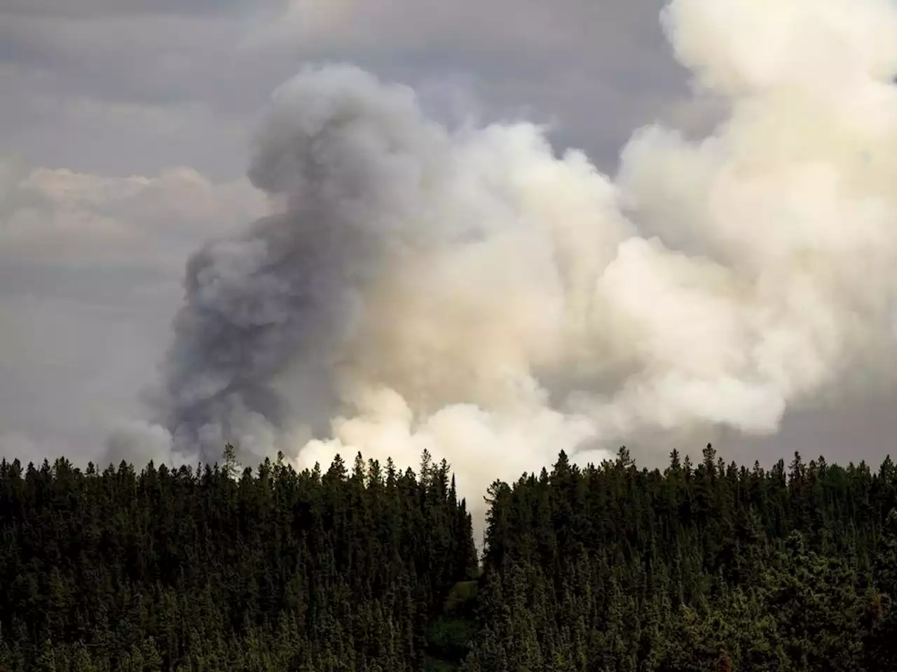 Ontario firefighter killed in B.C. identified as Zak Muise, 25