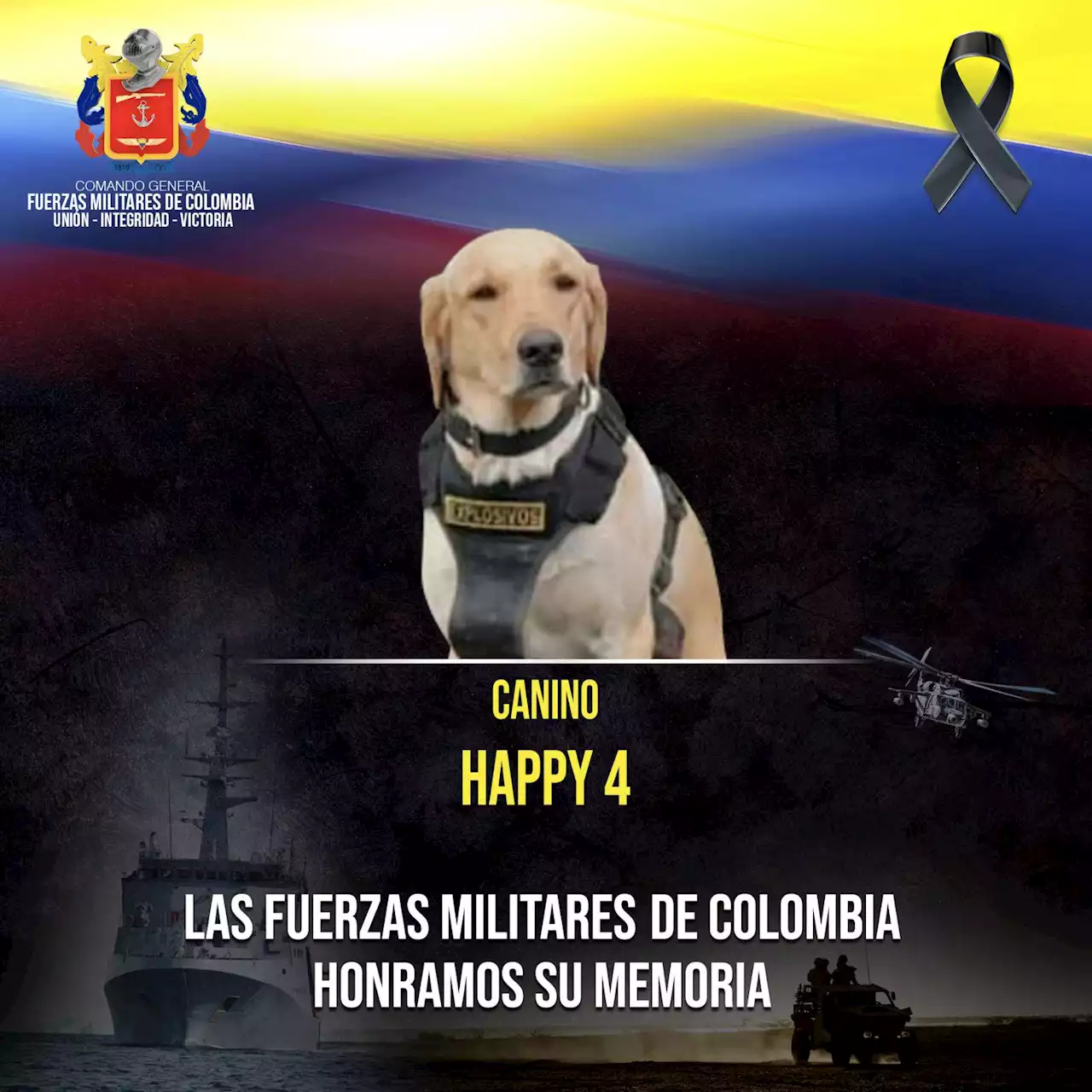 Explosivo en el Meta mató a perro del Ejército y dejó 6 heridos