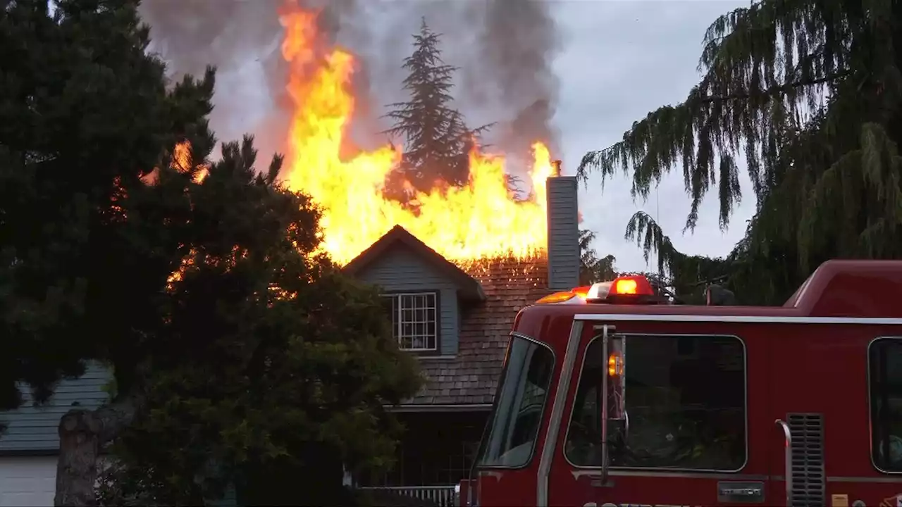 'At least we're out': Family fortunate to escape house fire in Courtenay